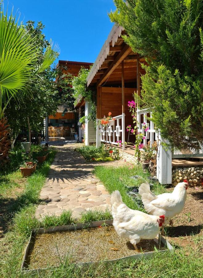 Flora Pansiyon Çıralı Apartamento Kemer Exterior foto