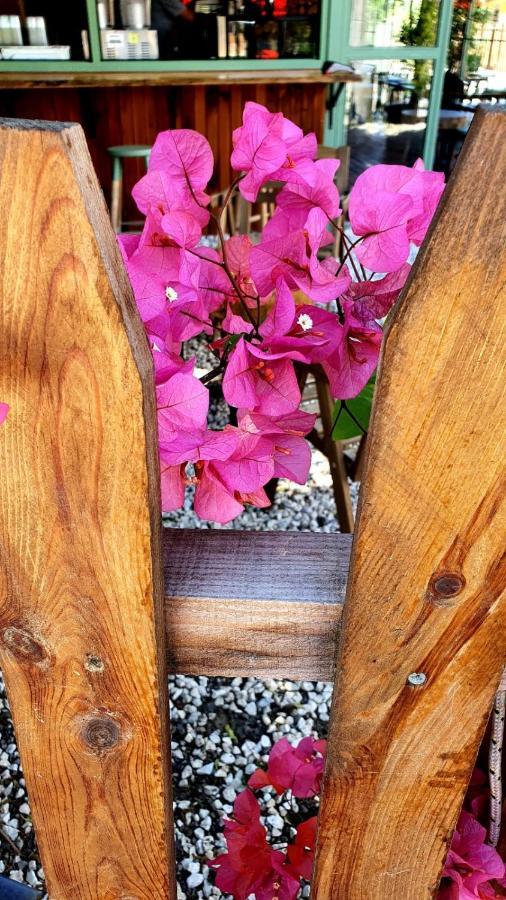 Flora Pansiyon Çıralı Apartamento Kemer Exterior foto