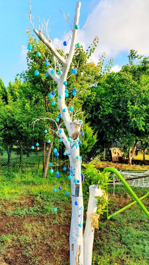 Flora Pansiyon Çıralı Apartamento Kemer Exterior foto